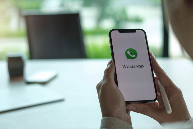 whatsapp comum, business e api