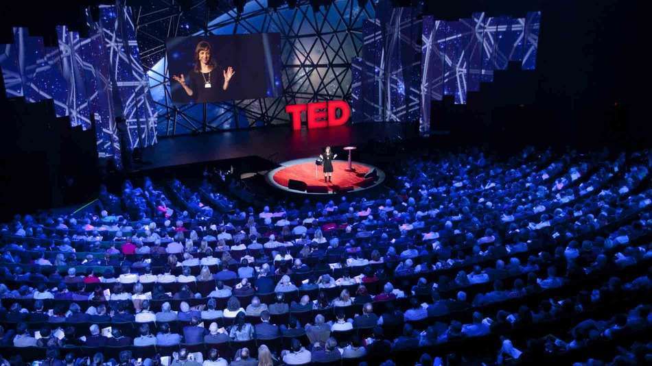 ted para dentistas