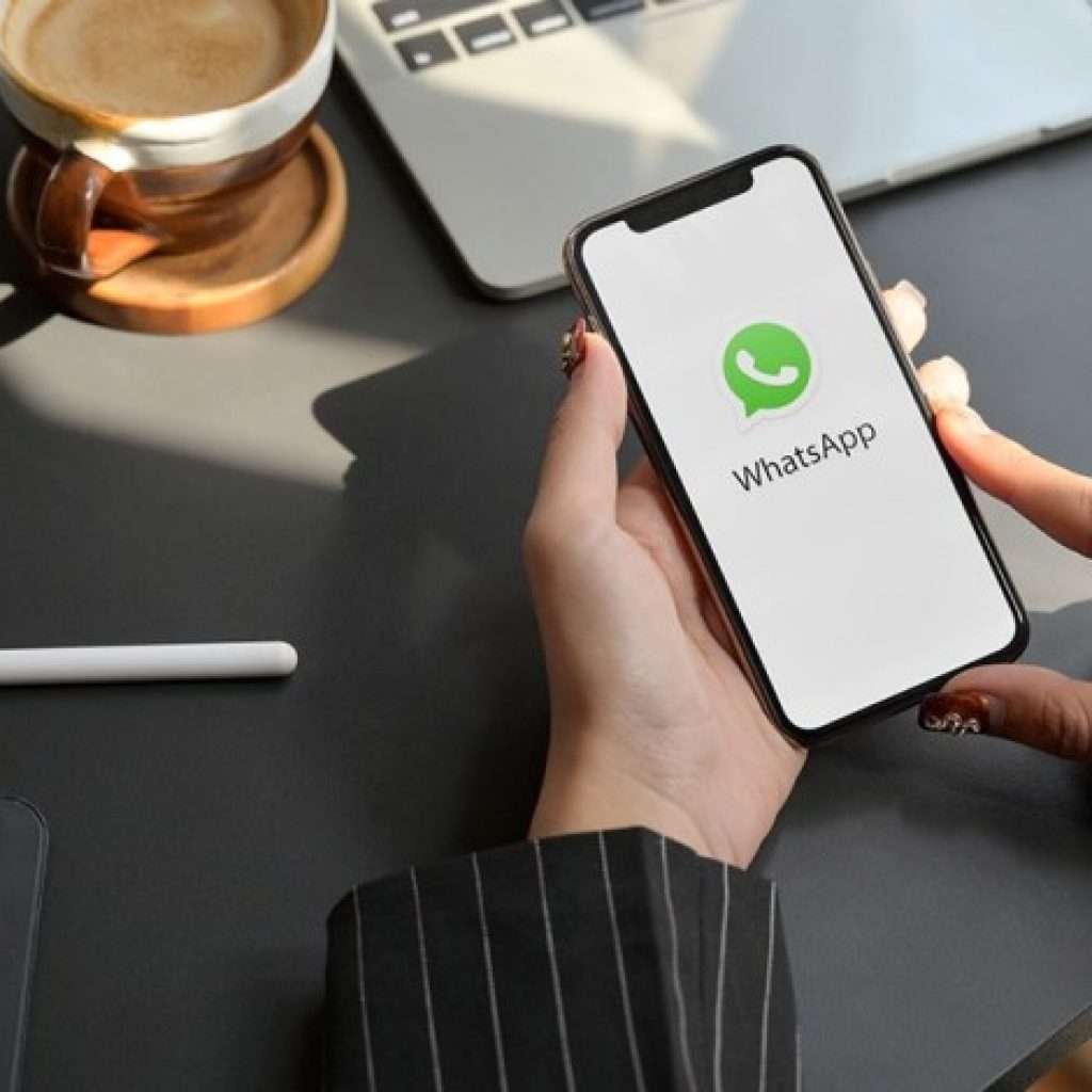 A diferença entre WhatsApp Comum, Business e API